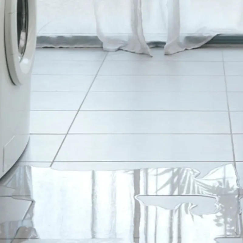 Appliance Leak Cleanup in Rainier, WA