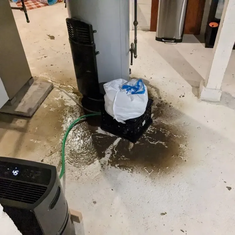 Sewage Backup Cleanup Service in Rainier, WA